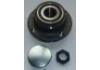 Radnabe Wheel Hub Bearing:VKBA6516