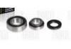 Wheel Bearing Rep. kit:62208-2RS