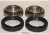 Juego, rodamiento rueda Wheel Bearing Rep. kit:5171221100