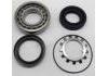 Radlagersatz Wheel Bearing Rep. kit:MB092432