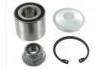 Wheel Hub Bearing:DAC25550043