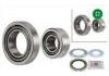 Wheel Bearing Rep. kit:713667600