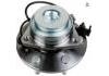 Wheel Hub Bearing:10393170