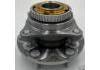 Radnabe Wheel Hub Bearing:3103100P3010