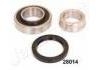 Wheel Hub Bearing:DG40800023/18