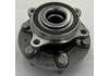 Wheel Hub Bearing:3103100XGW04A