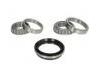 Wheel Bearing Rep. kit:40210C6000