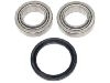 Radlagersatz Wheel bearing kit:5 024 251