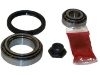 Radlagersatz Wheel Bearing  kit:251 498 625 A